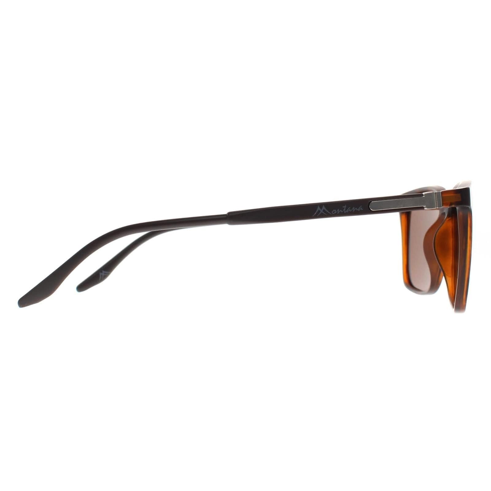 montana montana Men's Square Turtle Brown Polarized MP186 - 4