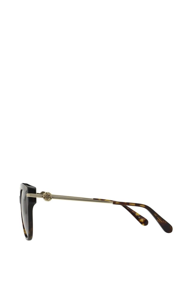 Ted Baker Ted Baker Women's Layla Sunglasses in Brown - 3