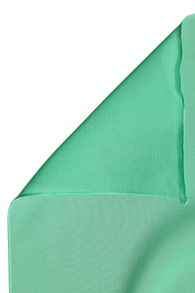 Dolce & Gabbana Dolce & Gabbana Women's Silk Neck Wrap Shawl Stole Scarf in Light Green - 2
