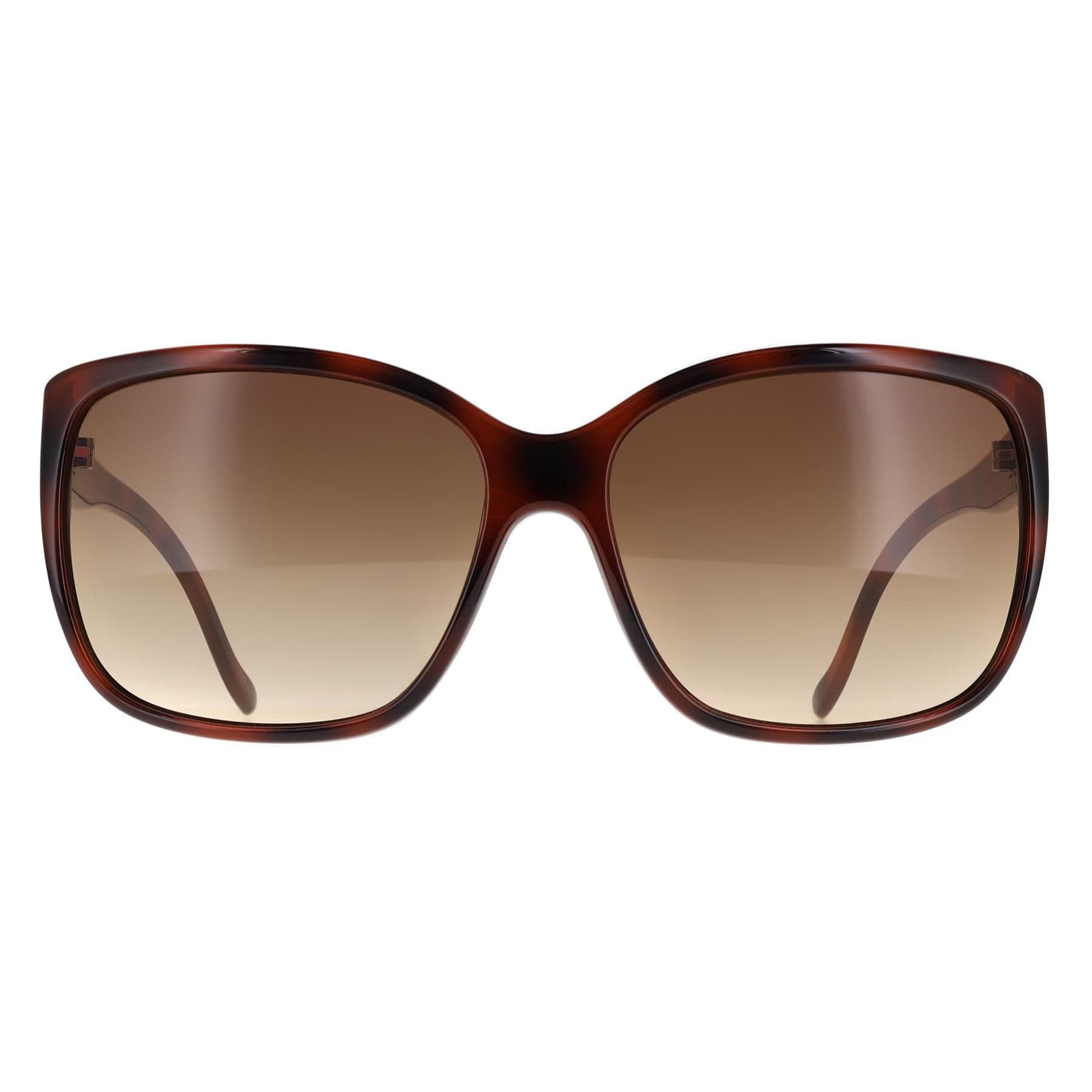 Calvin Klein CALVIN KLEIN Women's Cat Eye Havana Brown Gradient CK20518SN