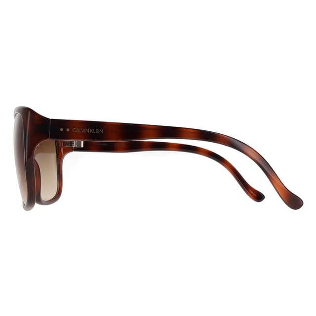 Calvin Klein CALVIN KLEIN Women's Cat Eye Havana Brown Gradient CK20518SN - 3