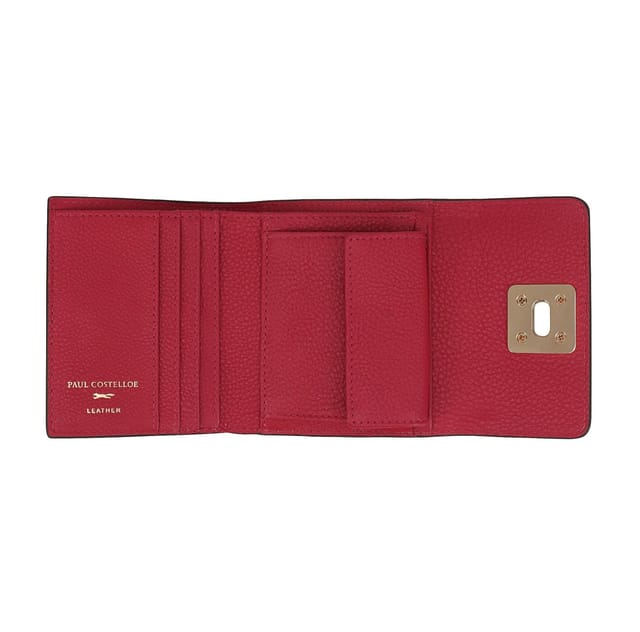 Paul Costelloe Paul Costelloe Women's Baro Leather Purse in Pink - 3