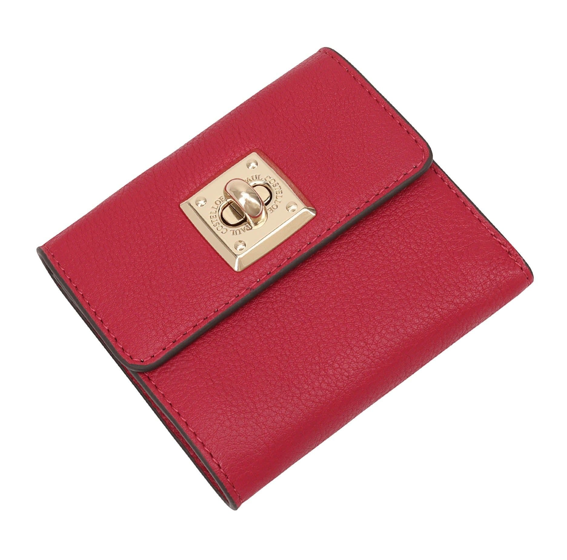 Paul Costelloe Paul Costelloe Women's Baro Leather Purse in Pink - 4