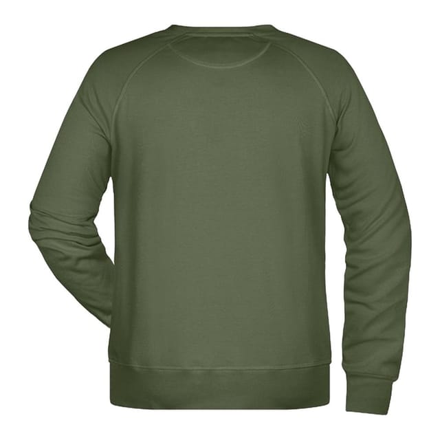 James and Nicholson James and Nicholson Men's Plain Sweatshirt in Olive - 2