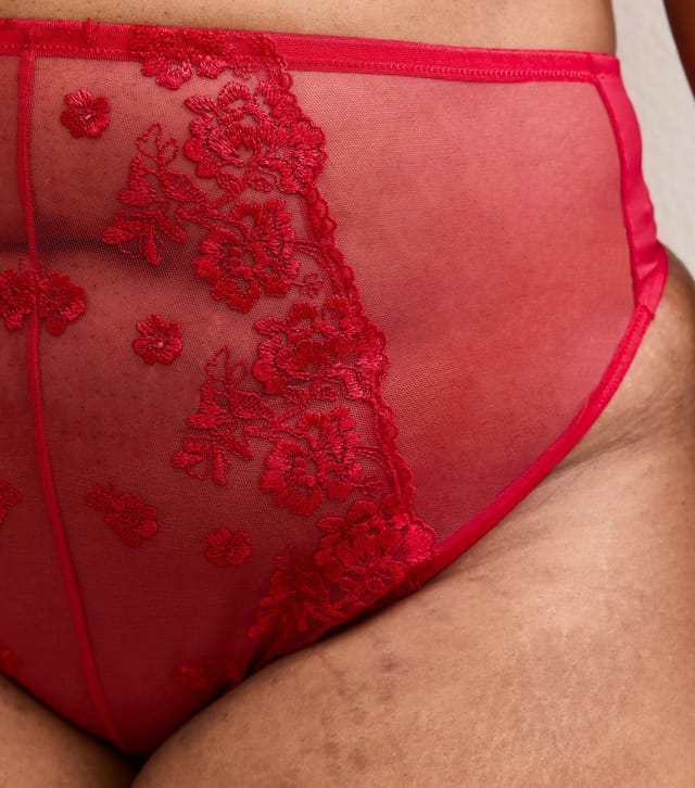 New Look Women's Plus Size Red Floral Embroidered Lace High Waist Thong Curves New Look - 2