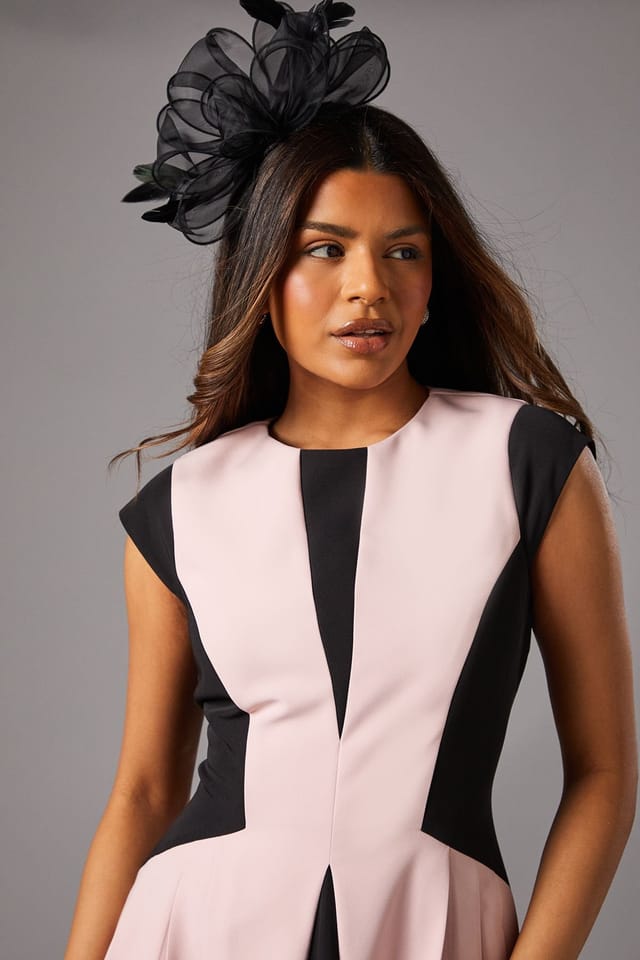 Coast Coast Women's Petite Crepe colour Block Midi Dress in Blush - 3