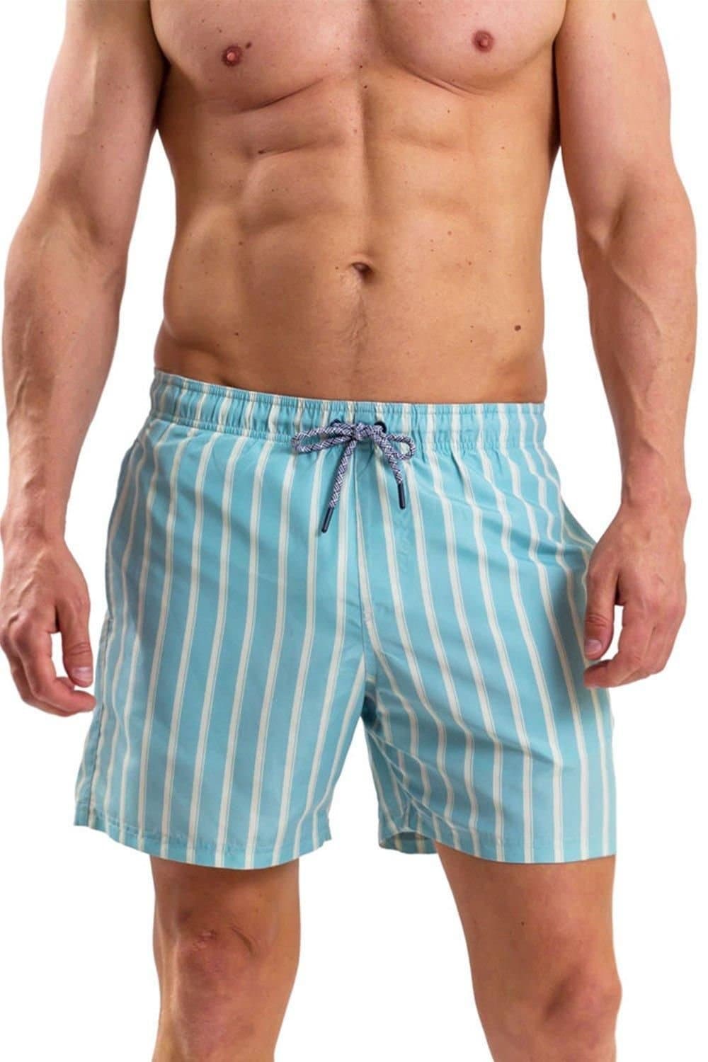 RIPT Essentials RIPT Essentials Men's Stripe Print Swim Shorts in Light Blue