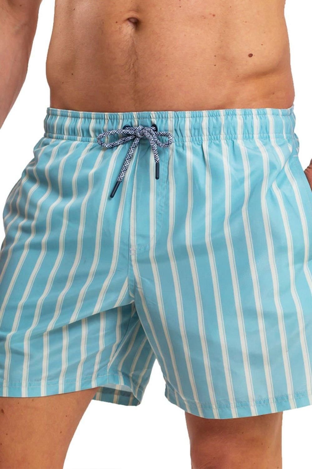 RIPT Essentials RIPT Essentials Men's Stripe Print Swim Shorts in Light Blue - 2