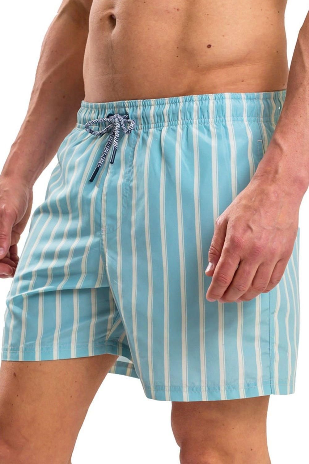 RIPT Essentials RIPT Essentials Men's Stripe Print Swim Shorts in Light Blue - 3