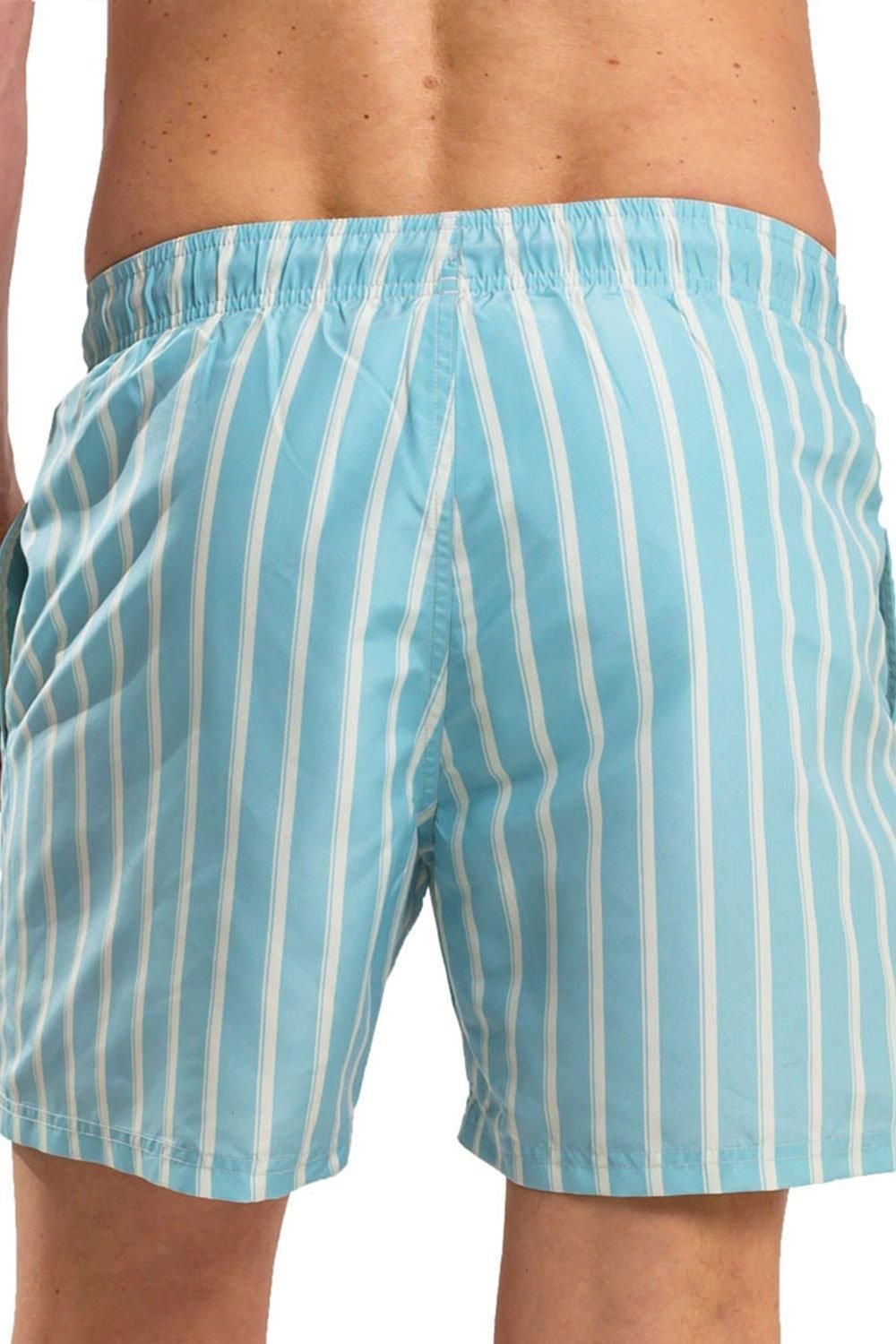 RIPT Essentials RIPT Essentials Men's Stripe Print Swim Shorts in Light Blue - 4