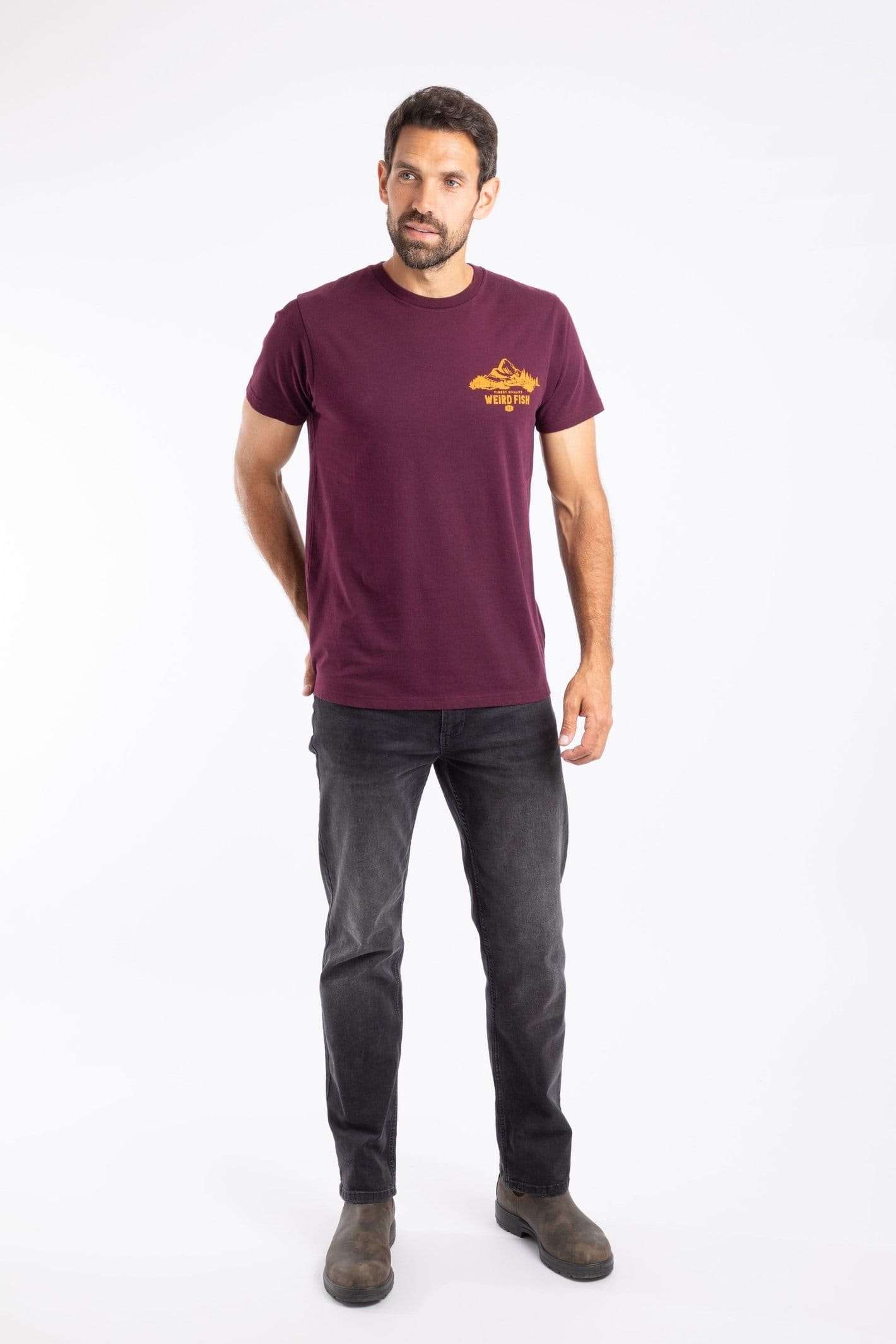 Weird Fish Weird Fish Men's Mountain Valley Graphic T-Shirt in Aubergine - 4