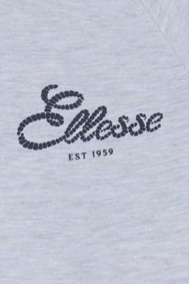 Ellesse Ellesse Women's Deliziosi Hoodie in Light Grey - 3