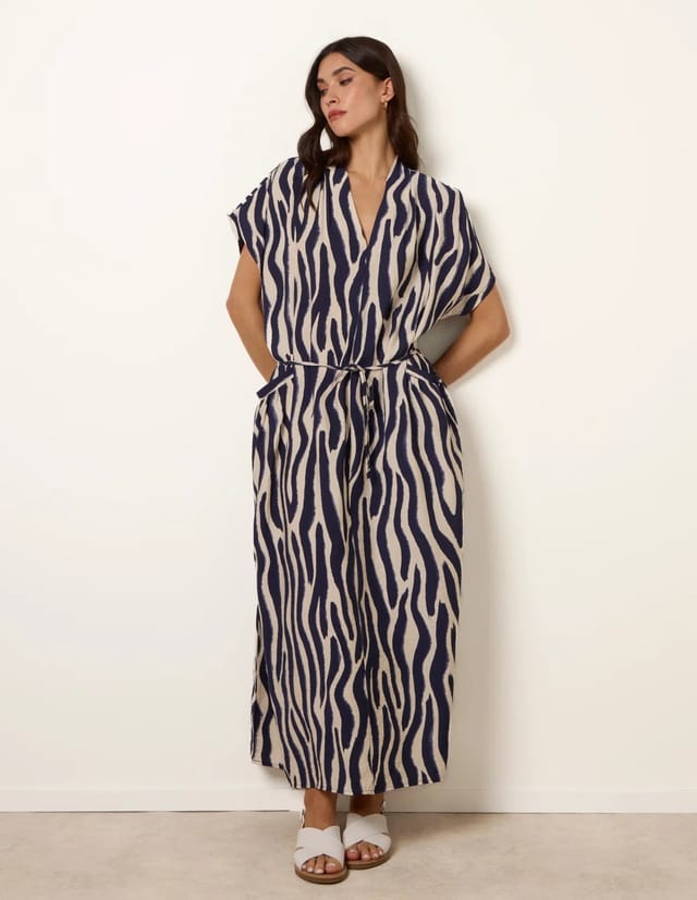 Blue Vanilla Zebra Print Dress - 3
