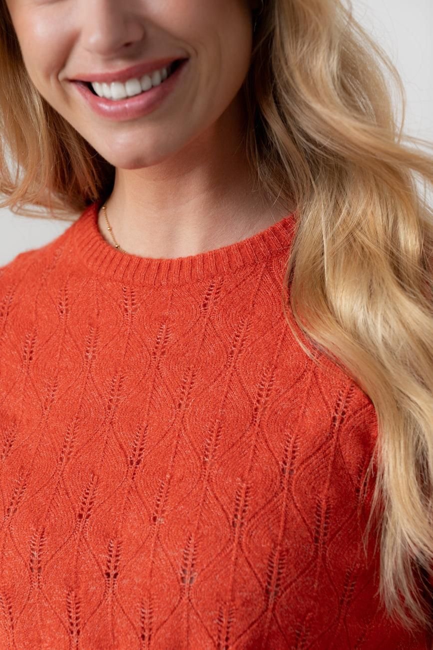 Lily & Me Lily & Me Women's Haresfield Crew Neck Blended yarn Pointelle Knit Jumper in Red - 3