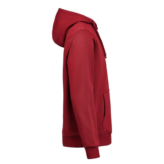 Untagged Movement Untagged Movement Men's Regular Hoodie in Red - 3