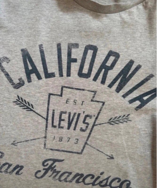 Levis Levi’s California San Francisco Graphic T-Shirt Grey Marl Size Small S Casual Logo Tee Streetwear