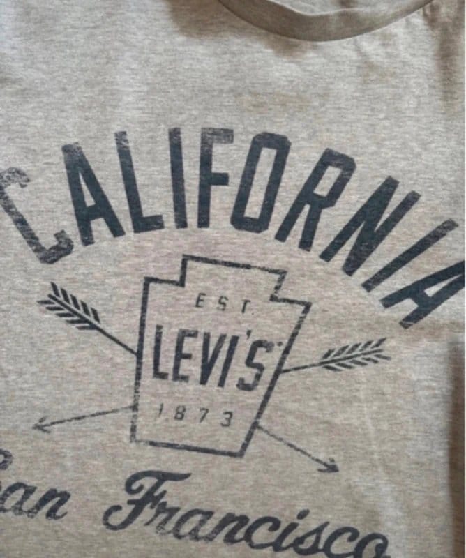 Levi's California San Francisco Graphic T-Shirt Grey Marl