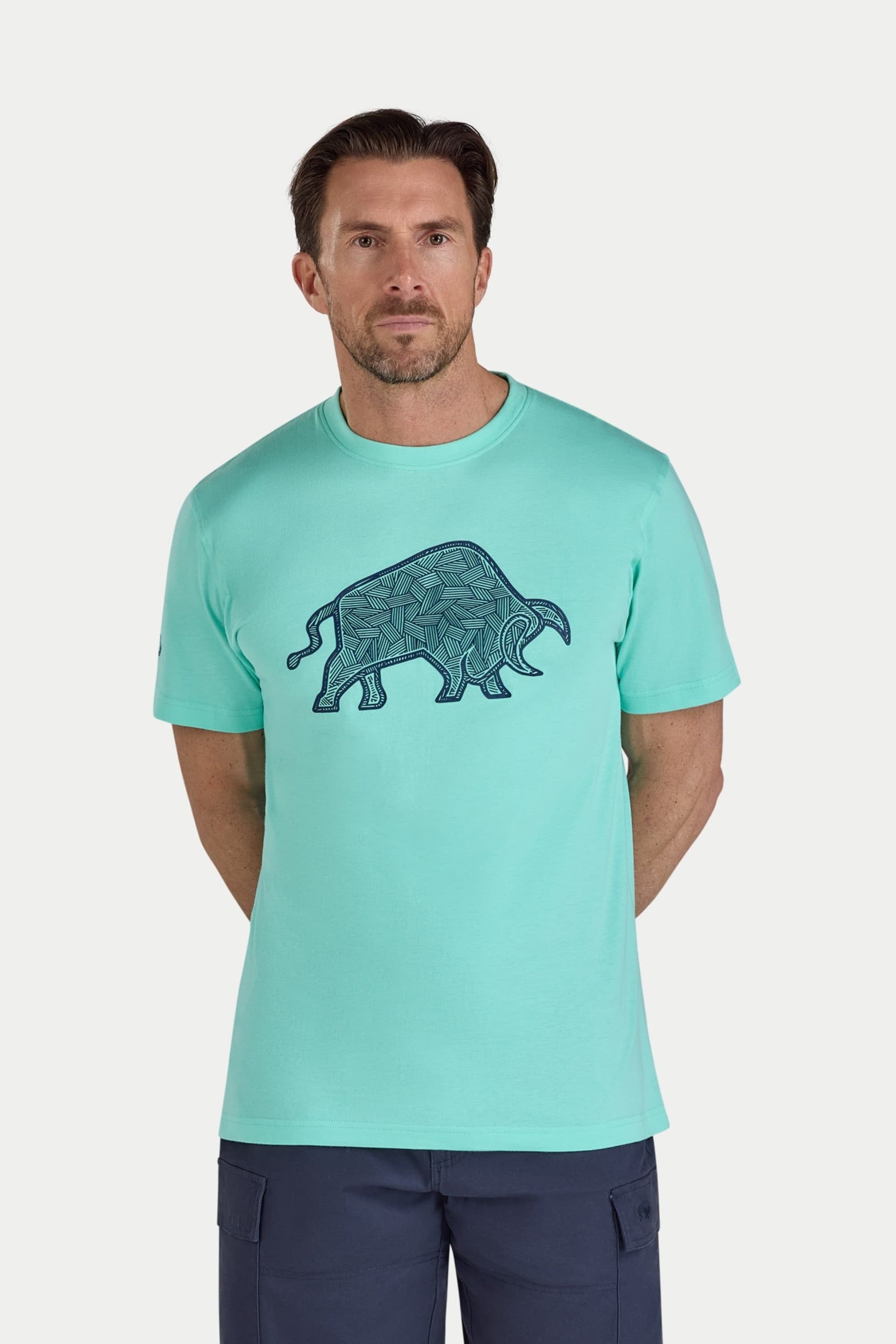 raging bull Raging Bull Men's High Build Geo Bull T-Shirt in Mint