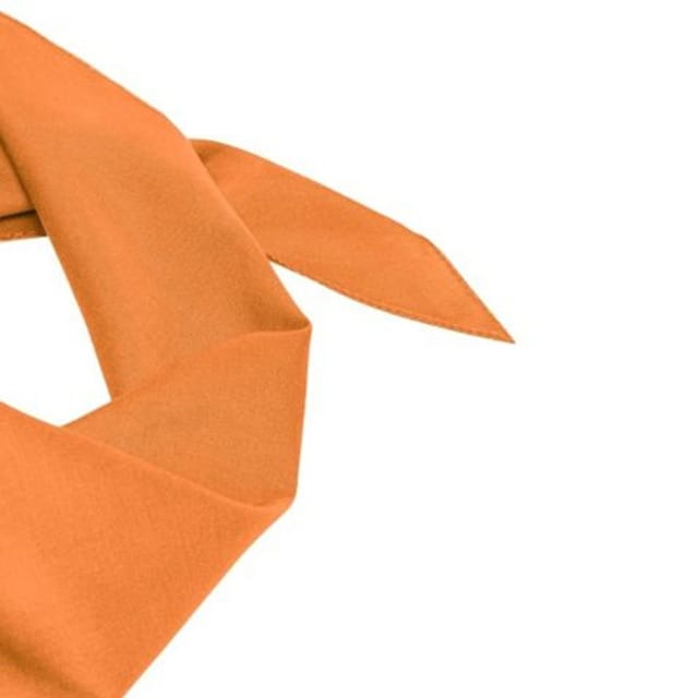 Myrtle Beach Myrtle Beach Men's Triangular Scarf in Orange - 2
