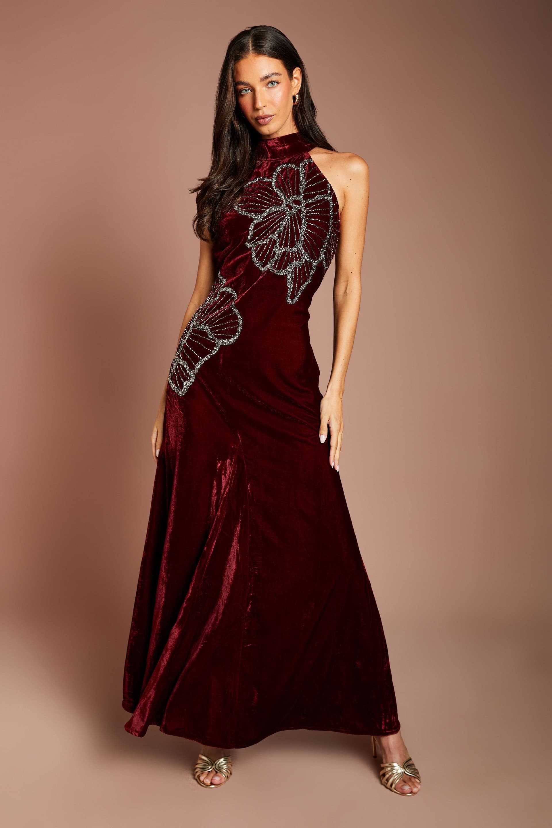 Coast Coast Women's Velvet Halter Neck Embellished Floral Maxi Dress in Oxblood
