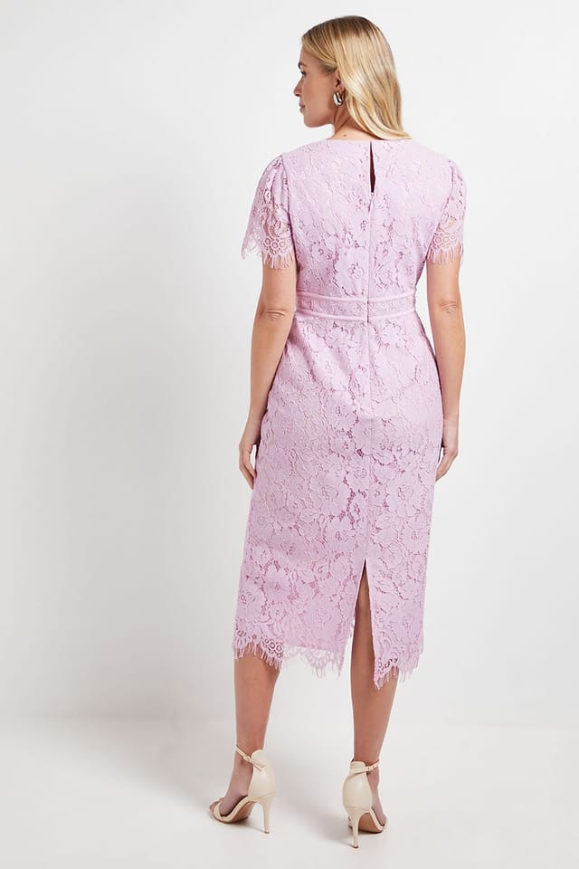 Wallis Wallis Women's Petite Lace Seam Detail Pencil Midi Dress in Lilac - 3