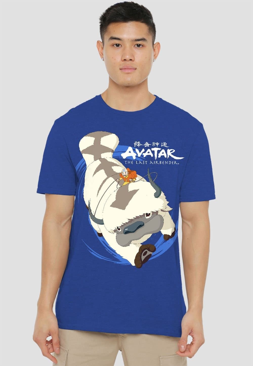 Avatar: The Last Airbender Avatar: The Last Airbender Men's Avatar The Last Airbender Appa In Flight T-Shirt-Royal Blue in Royal