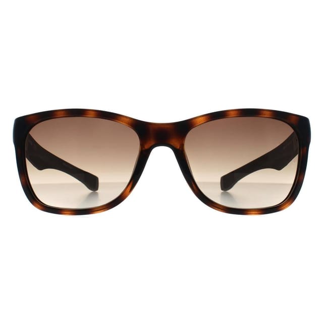 Lacoste Lacoste Men's Rectangle Havana Brown Gradient L662S - 2