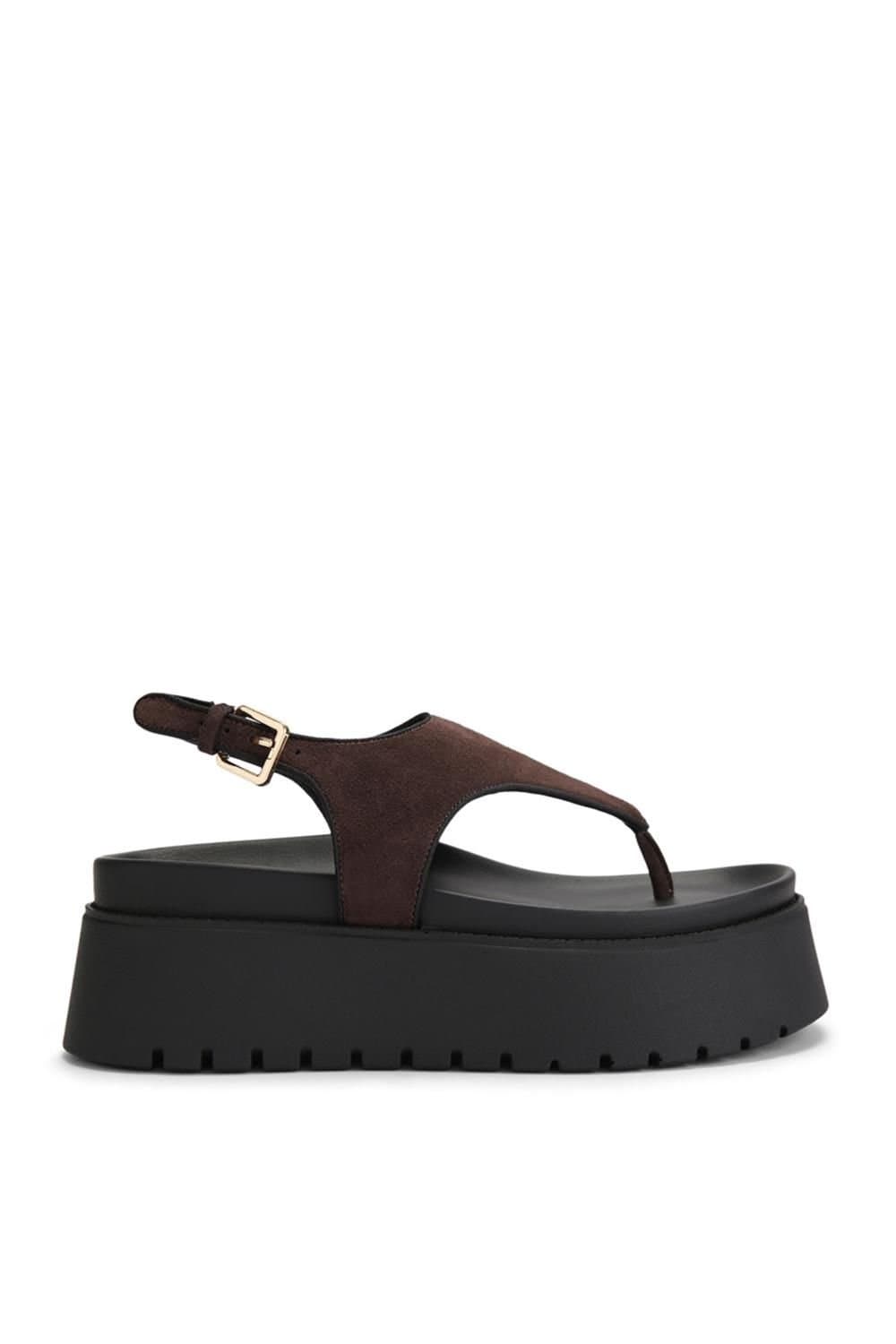 Steve Madden STEVE MADDEN Women's 'Tabor Dark Brown' Suede Sandals in Dark Brown