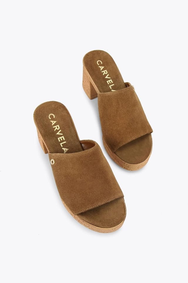 Carvela Carvela Women's 'Genova' Suede Heels in Brown - 2