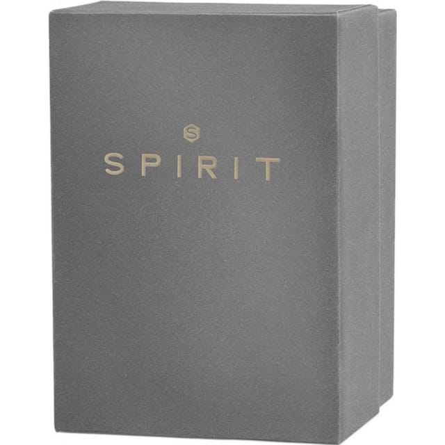Spirit Spirit Men's SP3031 45mm Quartz Watch - 3