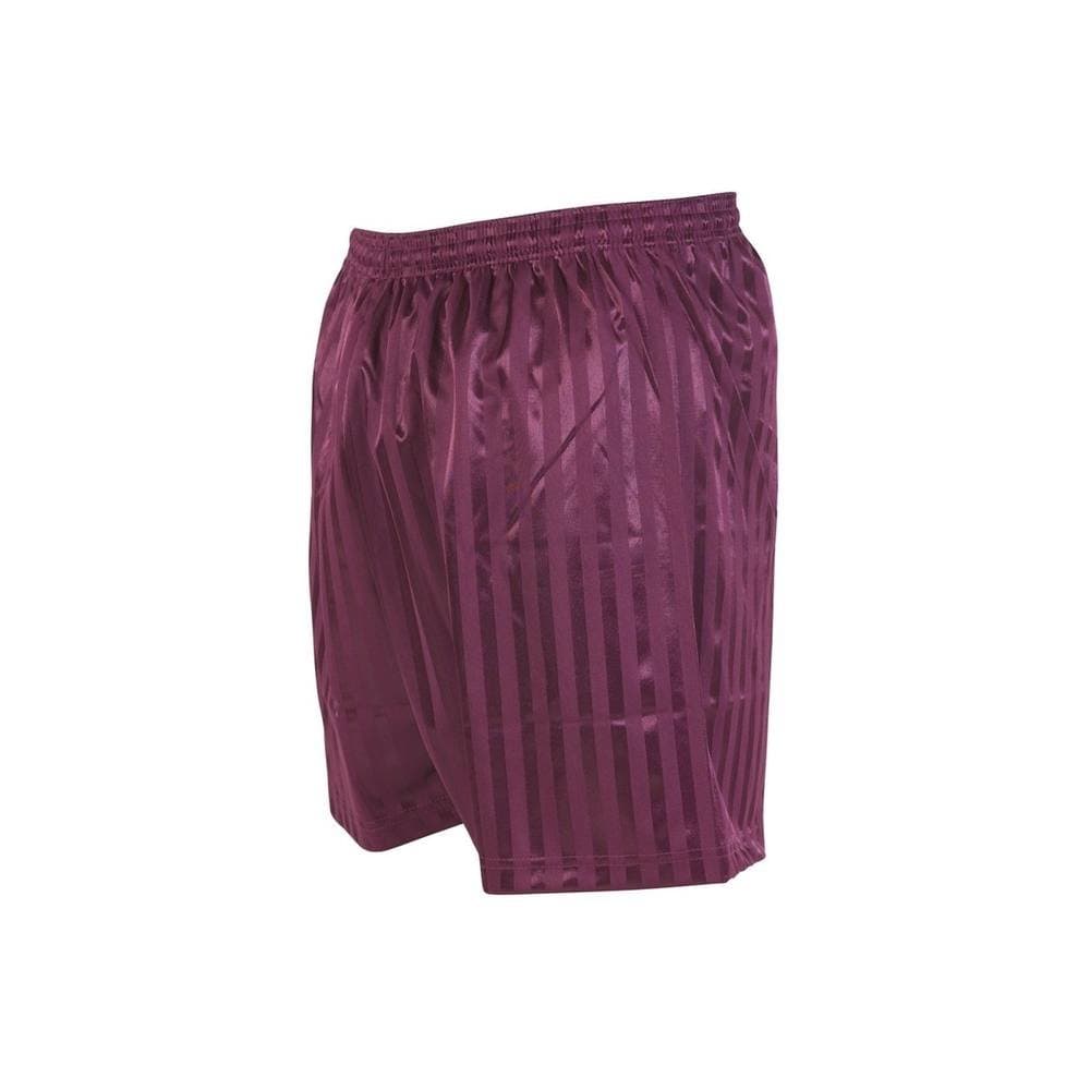 Precision Precision Men's Maroon Striped Football Shorts