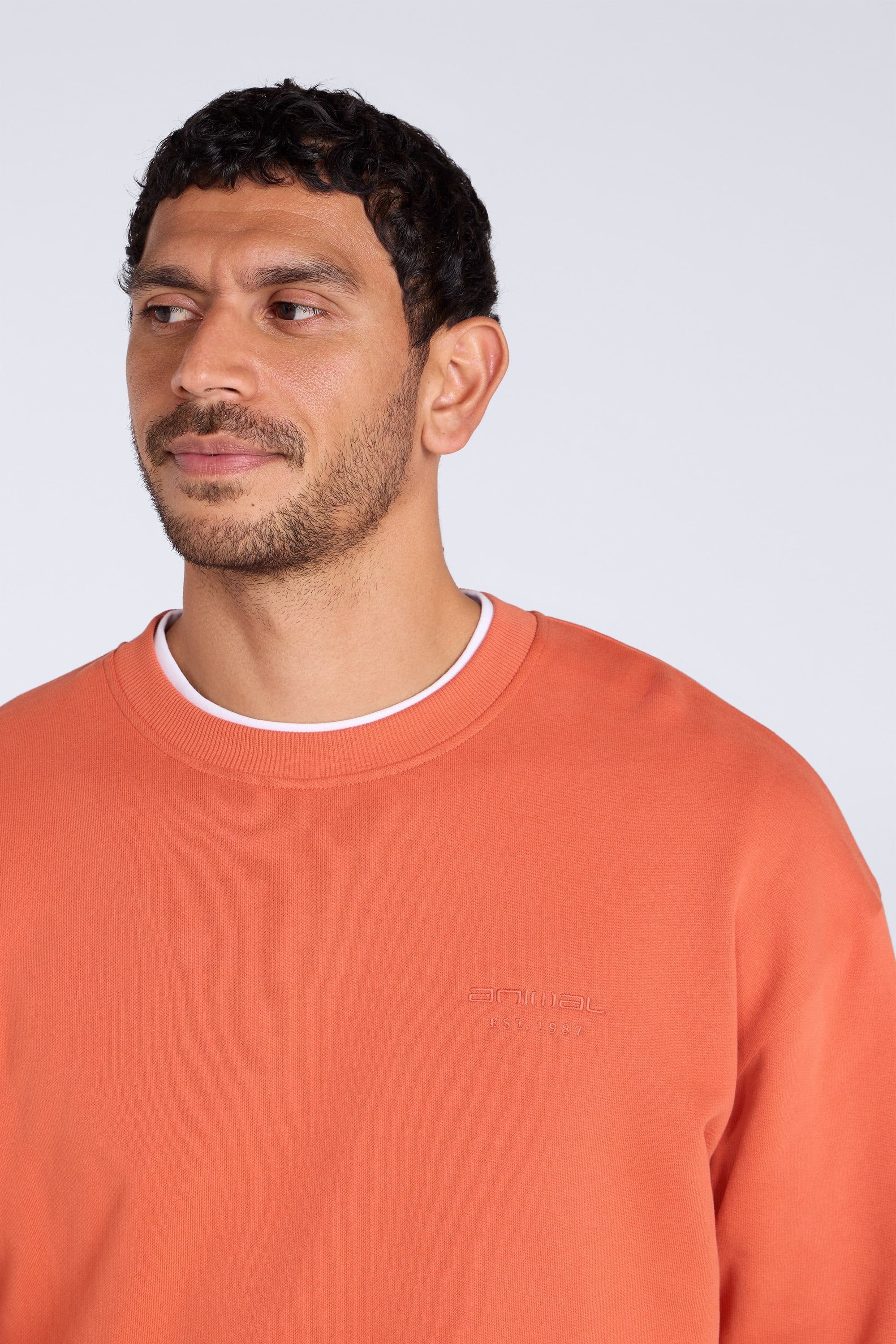 Animal Animal Men's 'Jonah' Ribbed Cuffs Cotton Drop Shoulder Sweatshirt in Terracotta - 3