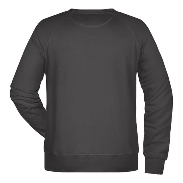 James and Nicholson James and Nicholson Men's Plain Sweatshirt in Dark Grey - 2