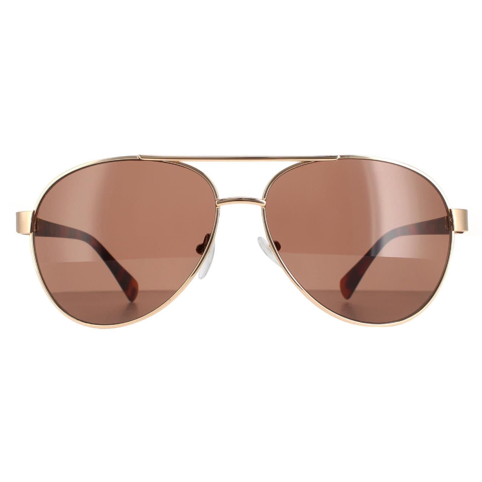 Calvin Klein CALVIN KLEIN Men's Aviator Gold Brown CK19316S