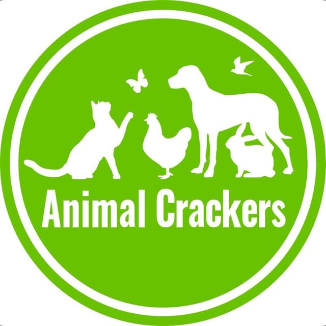 Animal Crackers Animal Crackers Men's Border Collie Sheepdog Design Socks Ankle Length, Quality Cotton Mix - 3