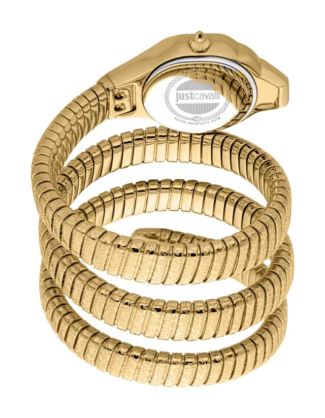 Just Cavalli Just Cavalli Women's Ravenna Quartz Gold Dial Watch - 2