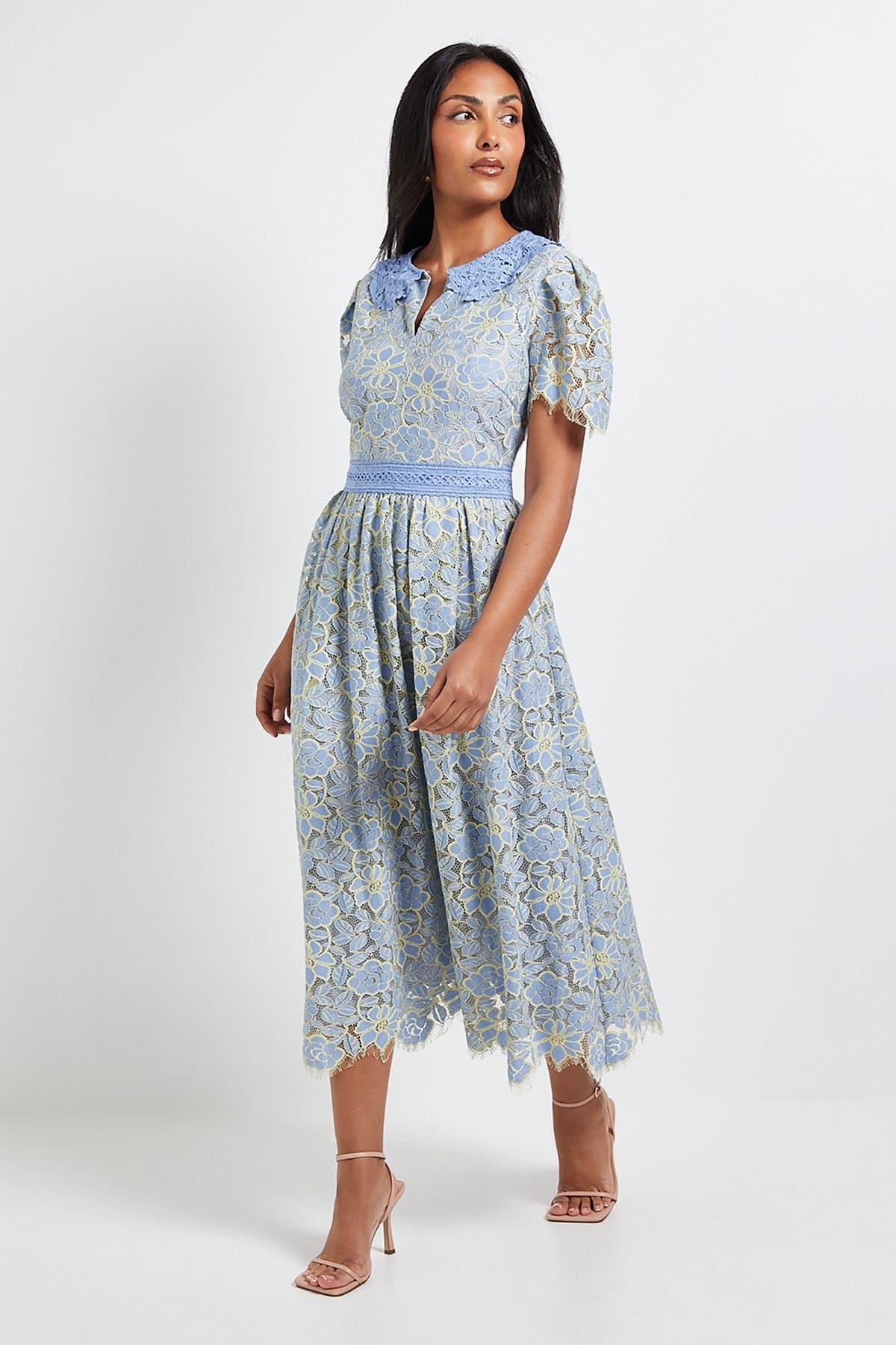 Wallis Wallis Women's Petite Lace Collared Button Midi Dress in Blue