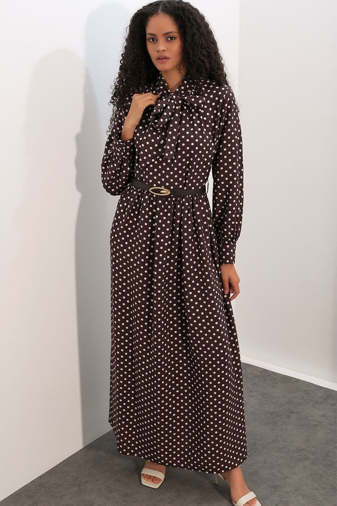Big Dart Big Dart Women's Polka Dot Maxi Shirt Dress in Chocolate - 4