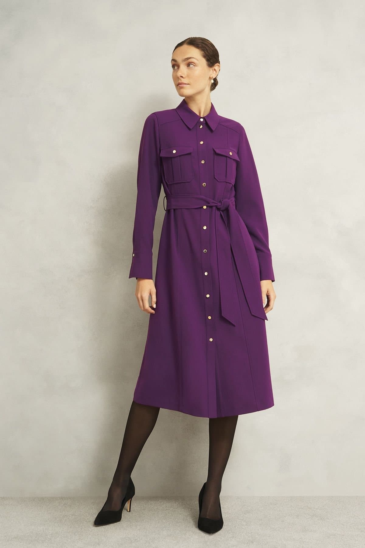 Hobbs London Hobbs London Women's Violet Shirt Dress in Grape