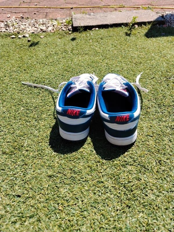 Nike Nike Dunk Low Trainers

54/