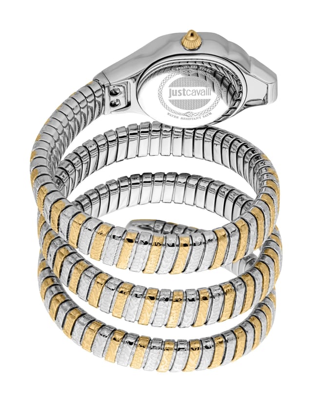 Just Cavalli Just Cavalli Women's Ravenna Quartz Silver Dial Watch - 2