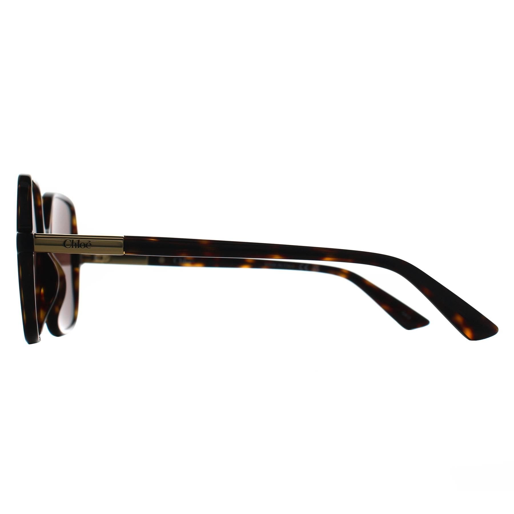Chloé Chloé Women's Square Dark Havana Brown CH0362S - 3