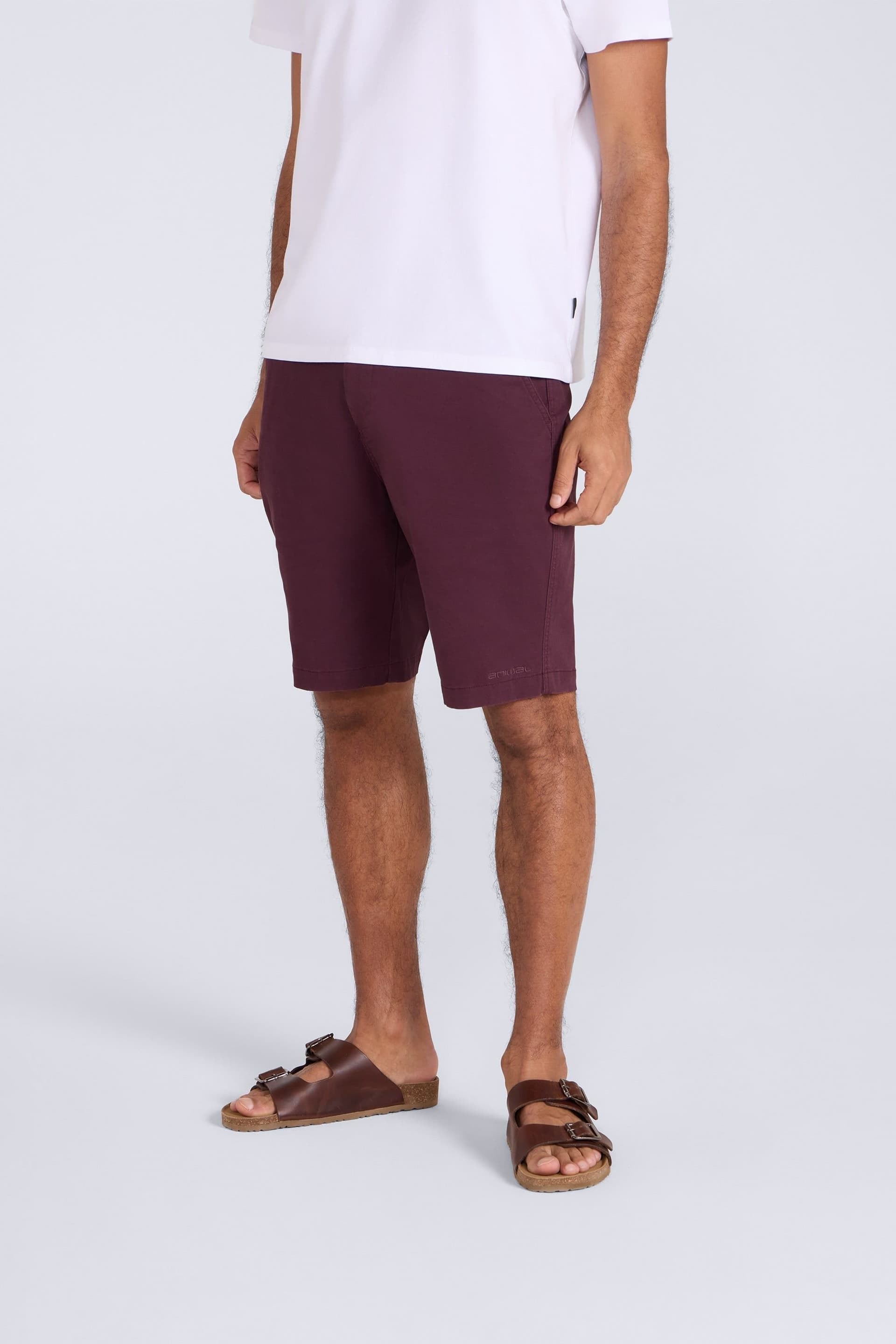 Animal Animal Men's 'Westbay' Lightweight Breathable Stretchy Soft Cotton Chino Shorts in Burgundy
