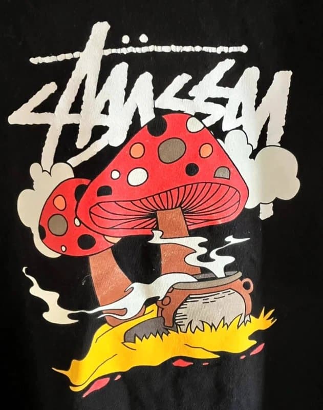 Stüssy Stüssy Mushroom Graphic T-Shirt – Black – Size L