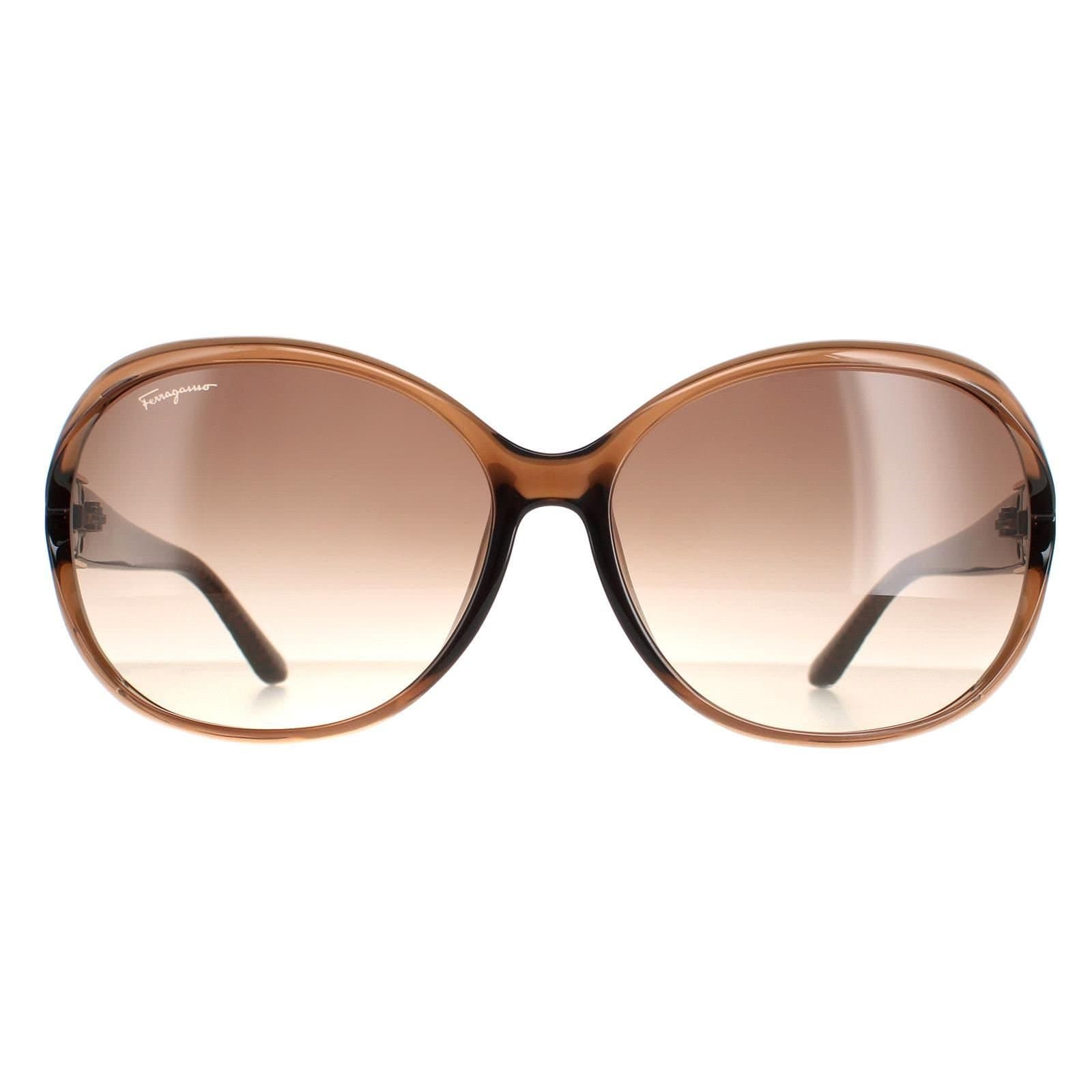 Salvatore Ferragamo Salvatore Ferragamo Women's Oval Light Brown Brown Gradient SF770SA