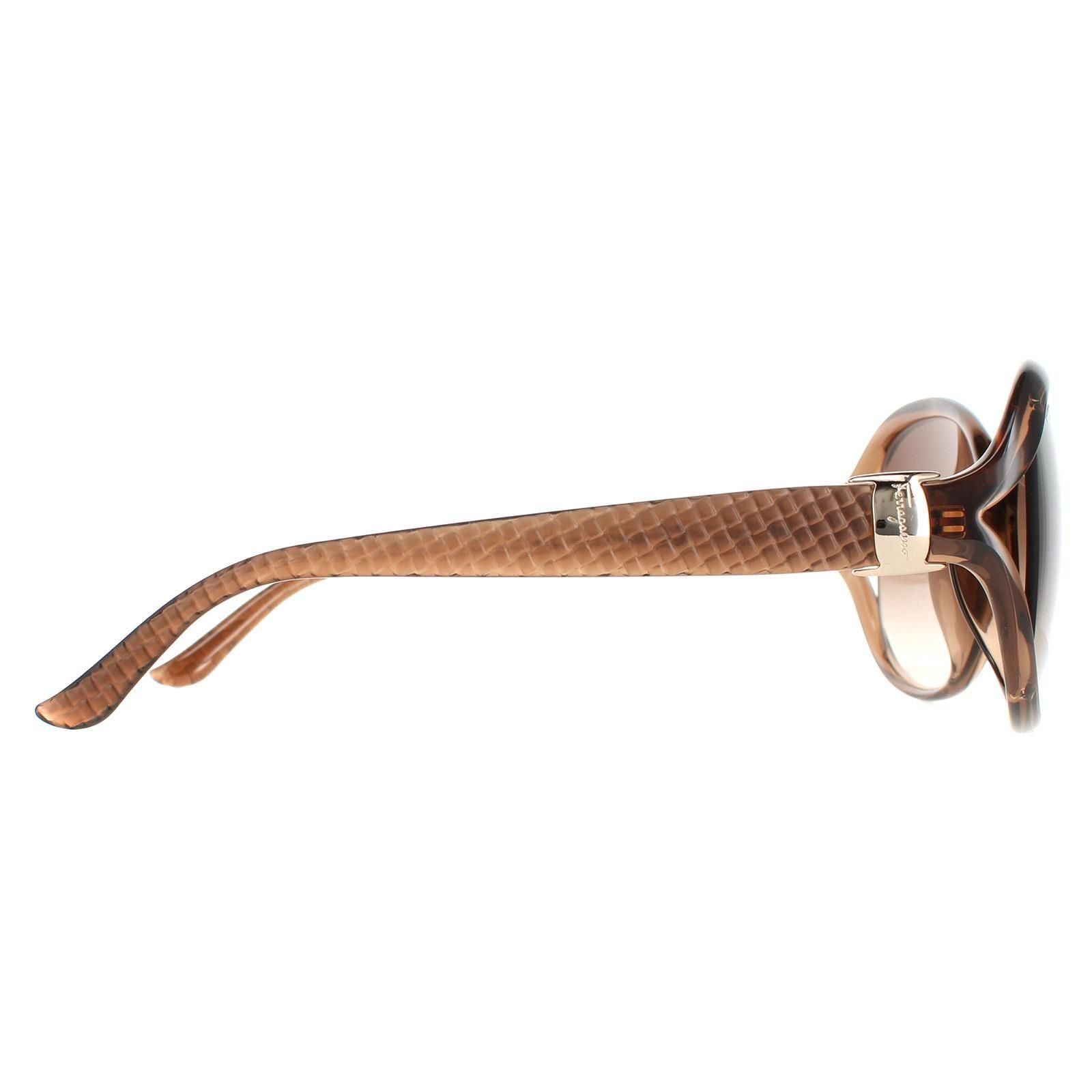 Salvatore Ferragamo Salvatore Ferragamo Women's Oval Light Brown Brown Gradient SF770SA - 4