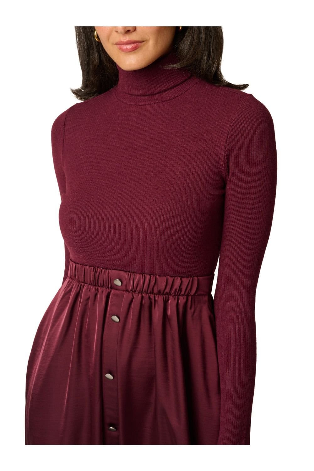 Adrianna Papell Adrianna Papell Women's Turtleneck Combo Dress in Wine - 4