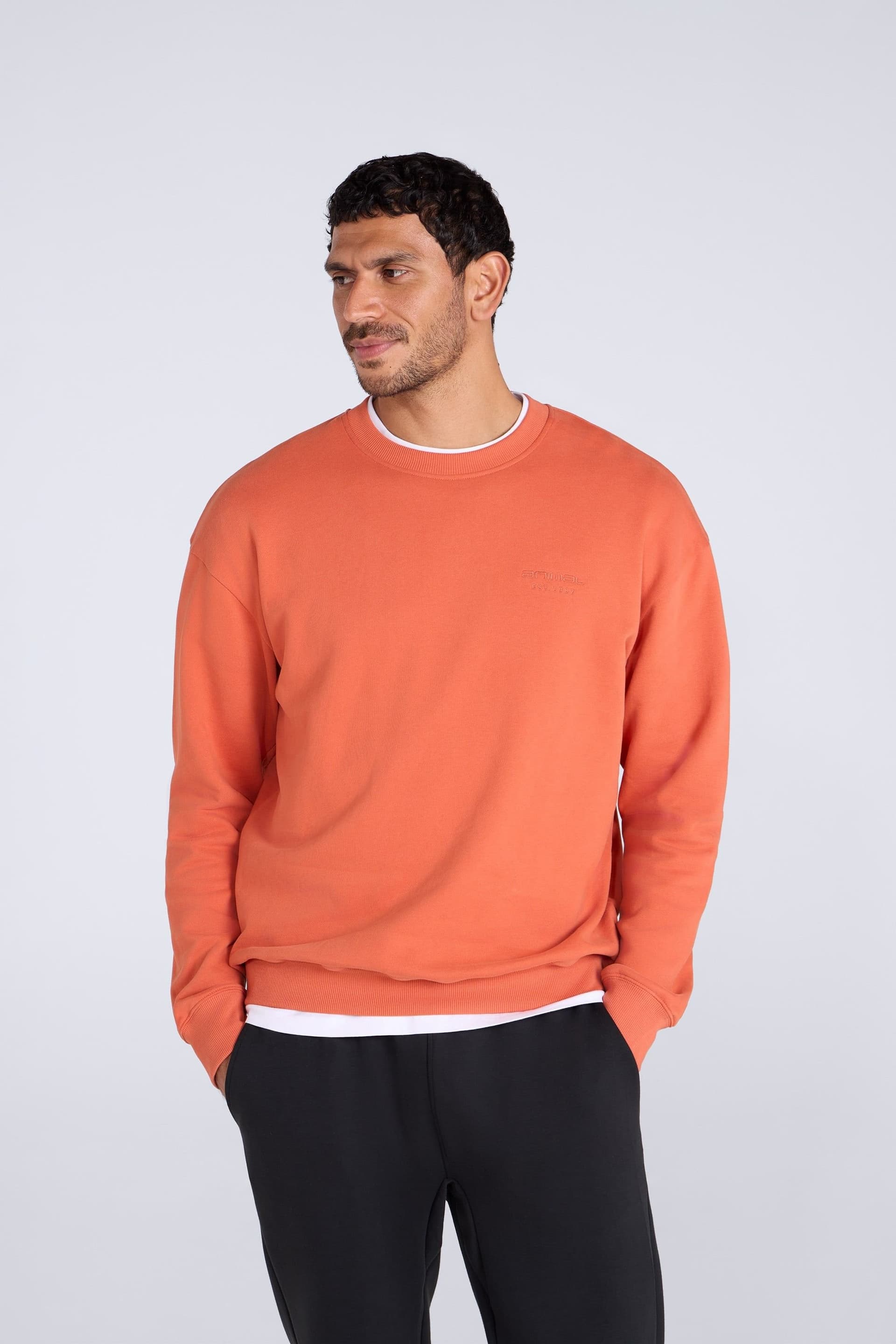 Animal Animal Men's 'Jonah' Ribbed Cuffs Cotton Drop Shoulder Sweatshirt in Terracotta