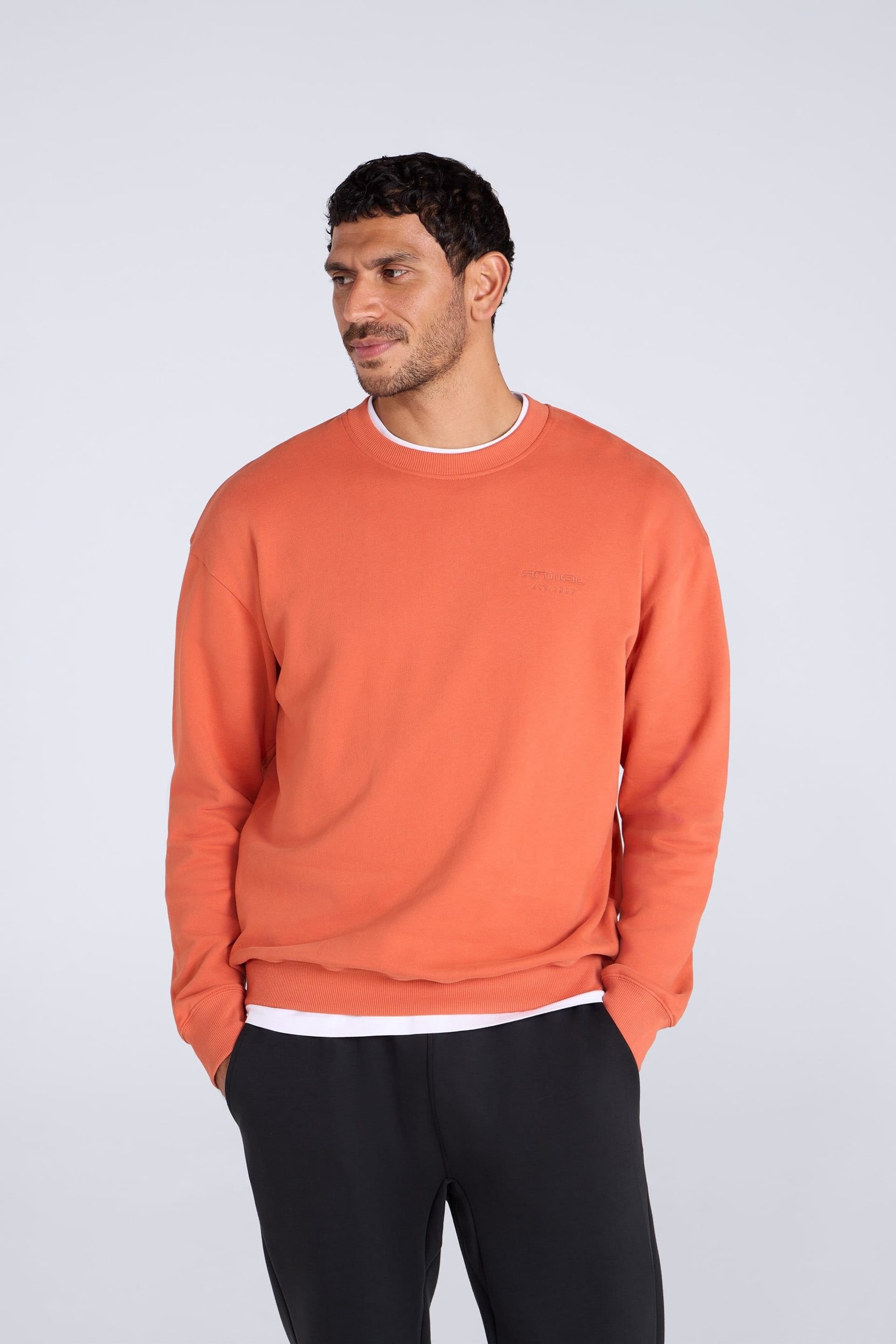 terracotta