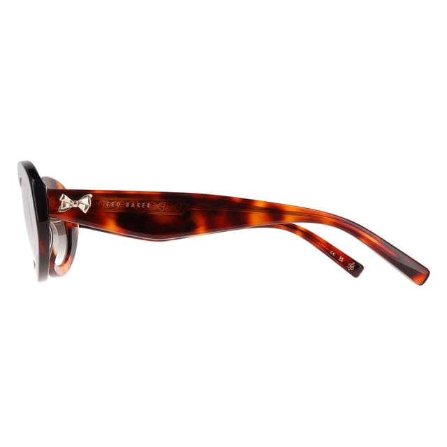 Ted Baker Ted Baker Women's Oval Gloss Classic Tortoise Brown Gradient TB1758 Daisie - 3